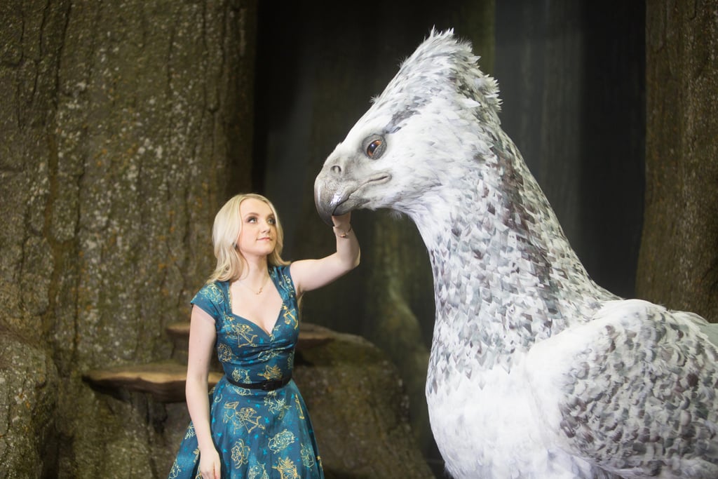 "Each feather had to be individually inserted and glued by the Creature Effects team who were busy adding feathers right up until the final moment Buckbeak was needed on set for Harry Potter and the Prisoner of Azkaban."