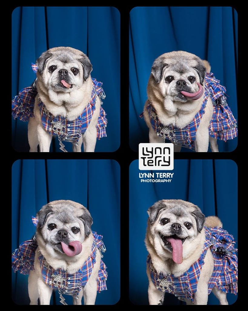 When you take over the photo booth for a solo shoot.