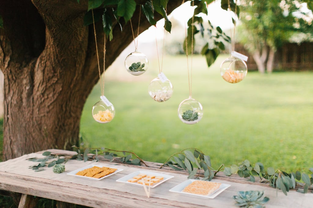 Terrariums Filled With Cheese