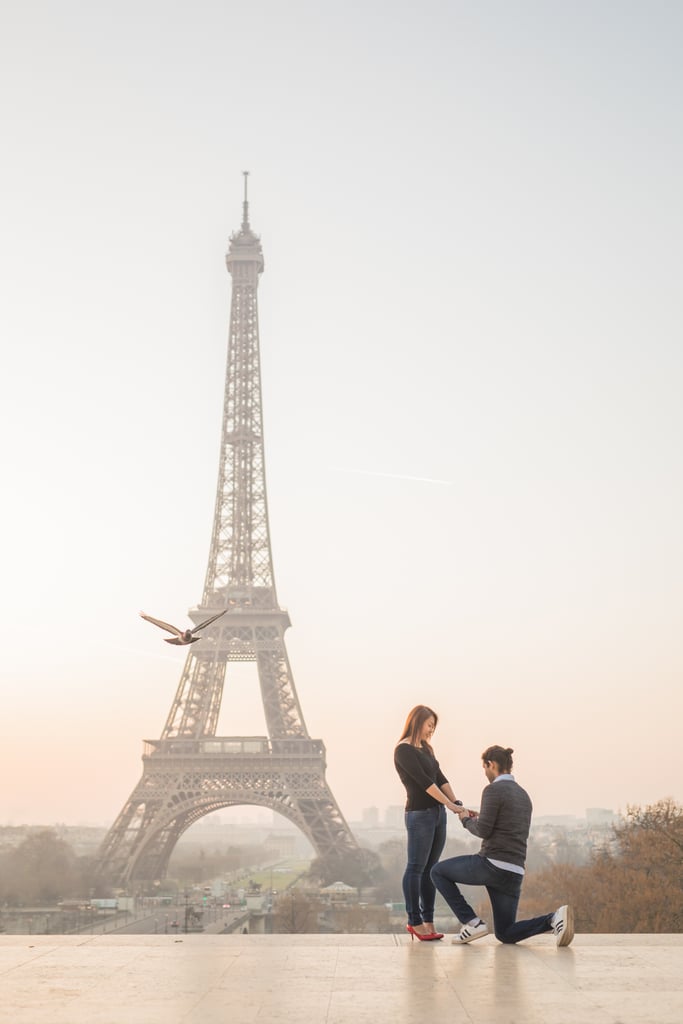 Eiffel Tower Proposal