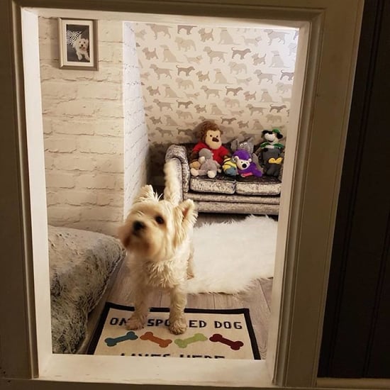 Dad Turns Stairwell Nook Into Room For Dog