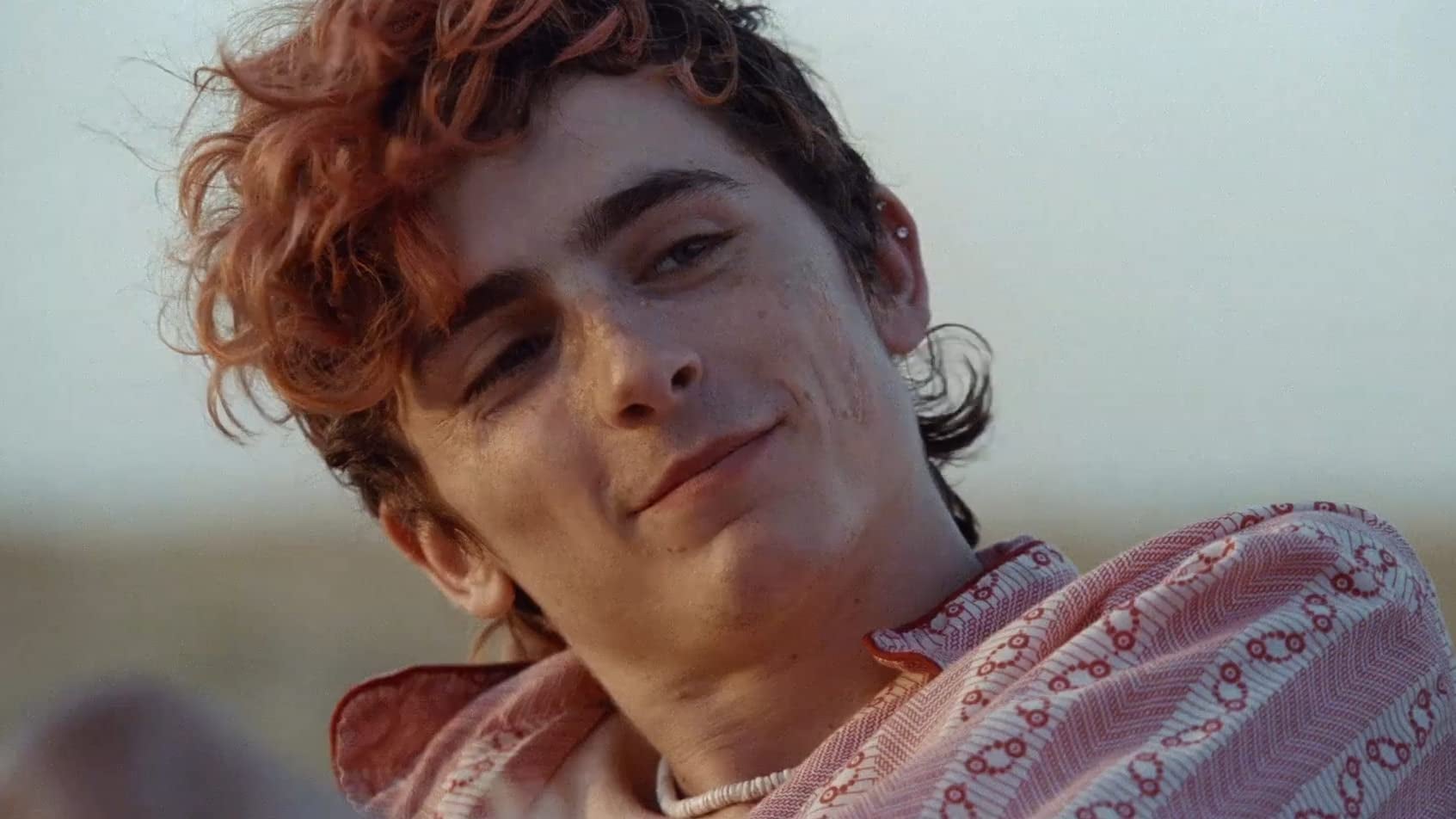 Timothée Chalamet's Red Hair in Bones and All | POPSUGAR Beauty Timothée Chalamet's Red Hair in Bones and All | POPSUGAR Beauty