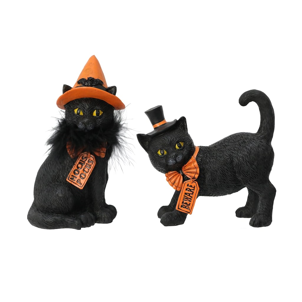 Black Cats With Hats