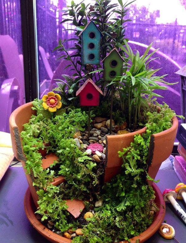 . . . Or a bird-house oasis.