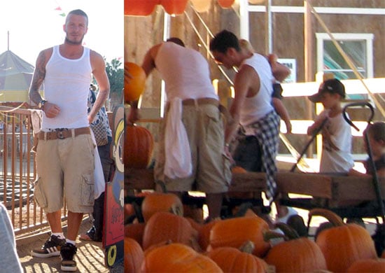 Beckhams at the Pumpkin Patch