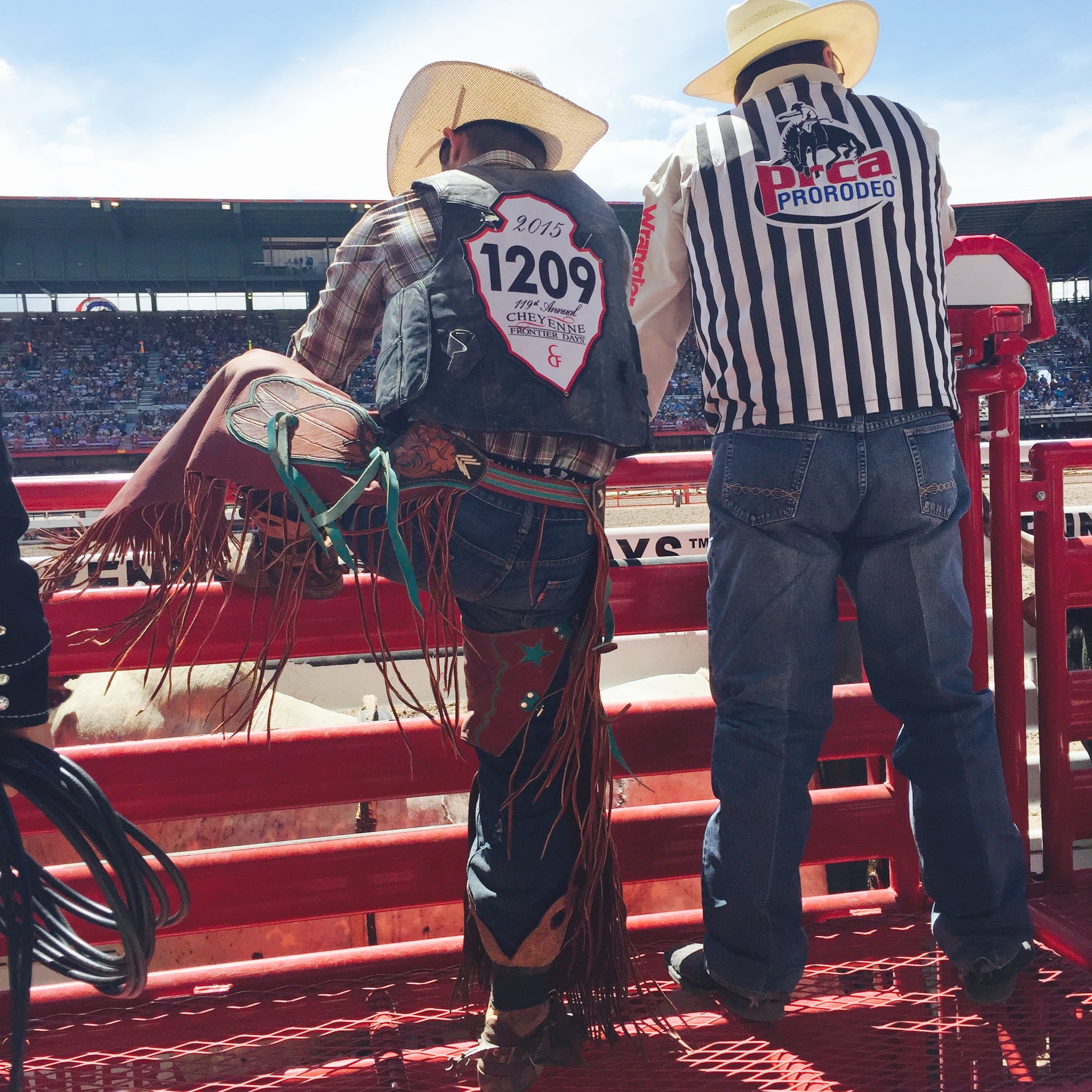 Cheyenne Frontier Days Rodeo Bull 