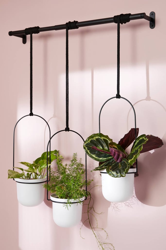 Triflora Hanging Planters, Set of 3