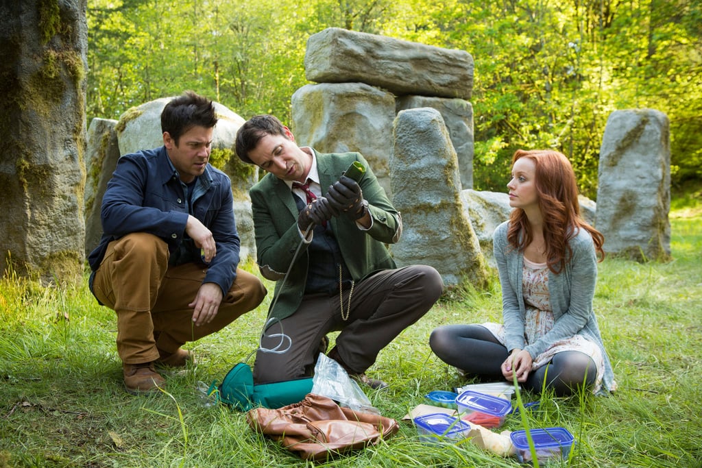 The Librarians