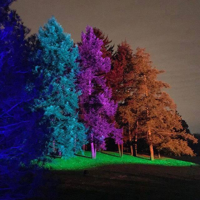 Illuminations at Morton Arboretum in Lisle, Illinois