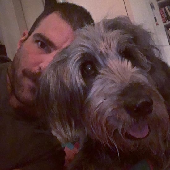 Zachary Quinto's Dog Dies