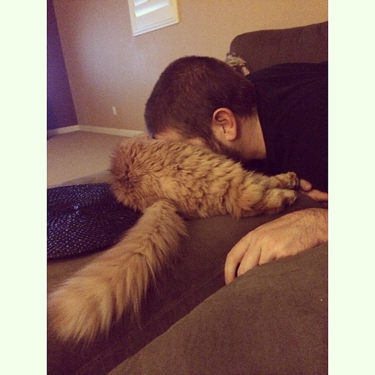 Cat Slang POPSUGAR Tech