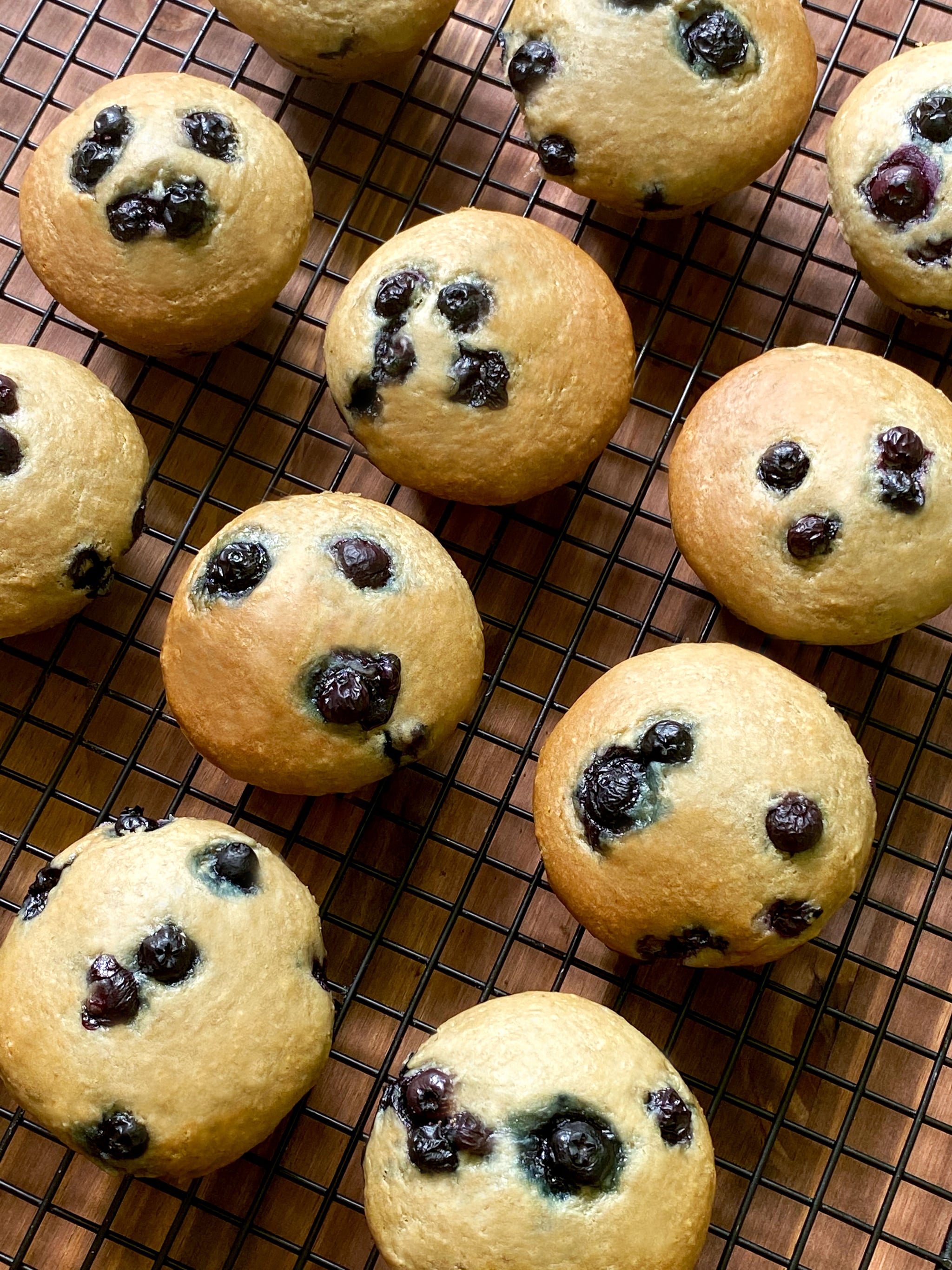 Bakery Style Blueberry Muffins - Britney Breaks Bread