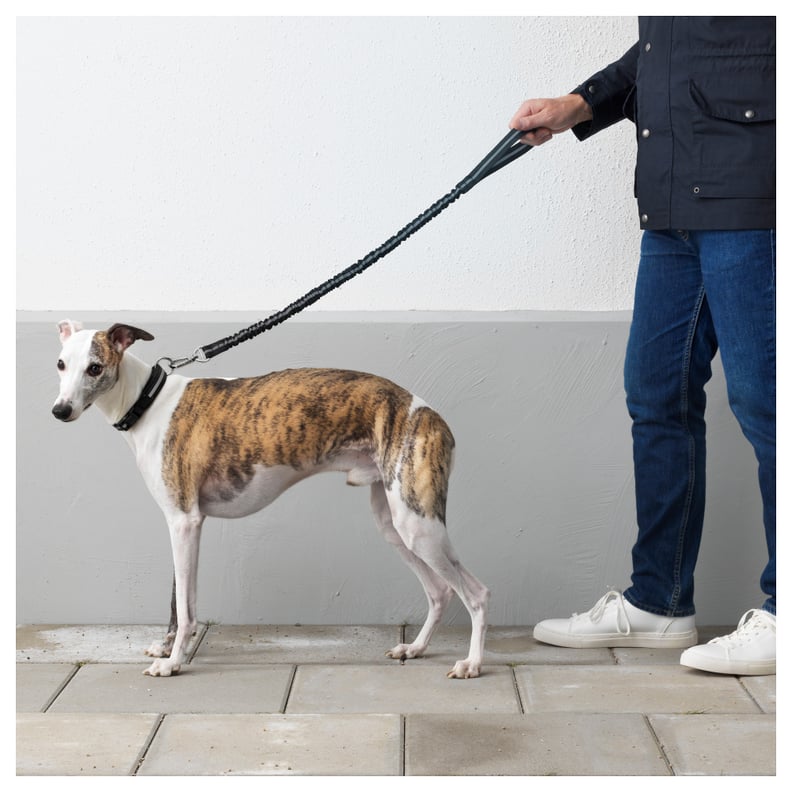 Lurvig Anti-Shock Leash