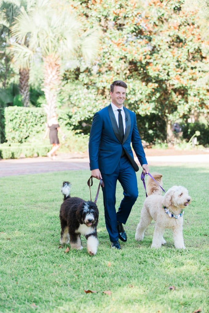 Dogs in Weddings