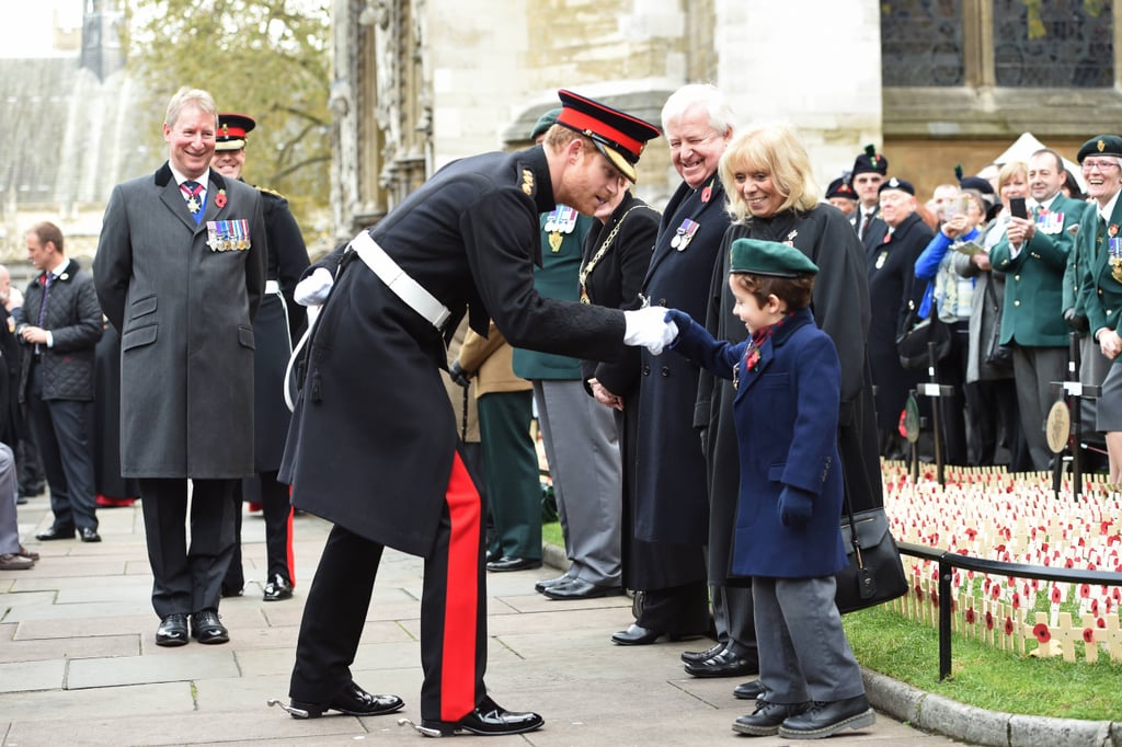 Prince Harry at Field of Remembrance in London 2016