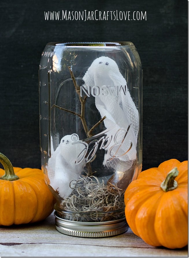Mason Jars