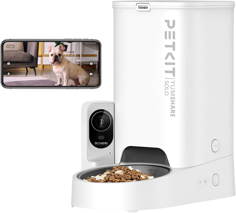 Best Automatic Feeder