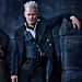 Johnny Depp in Fantastic Beasts 2 Controversy