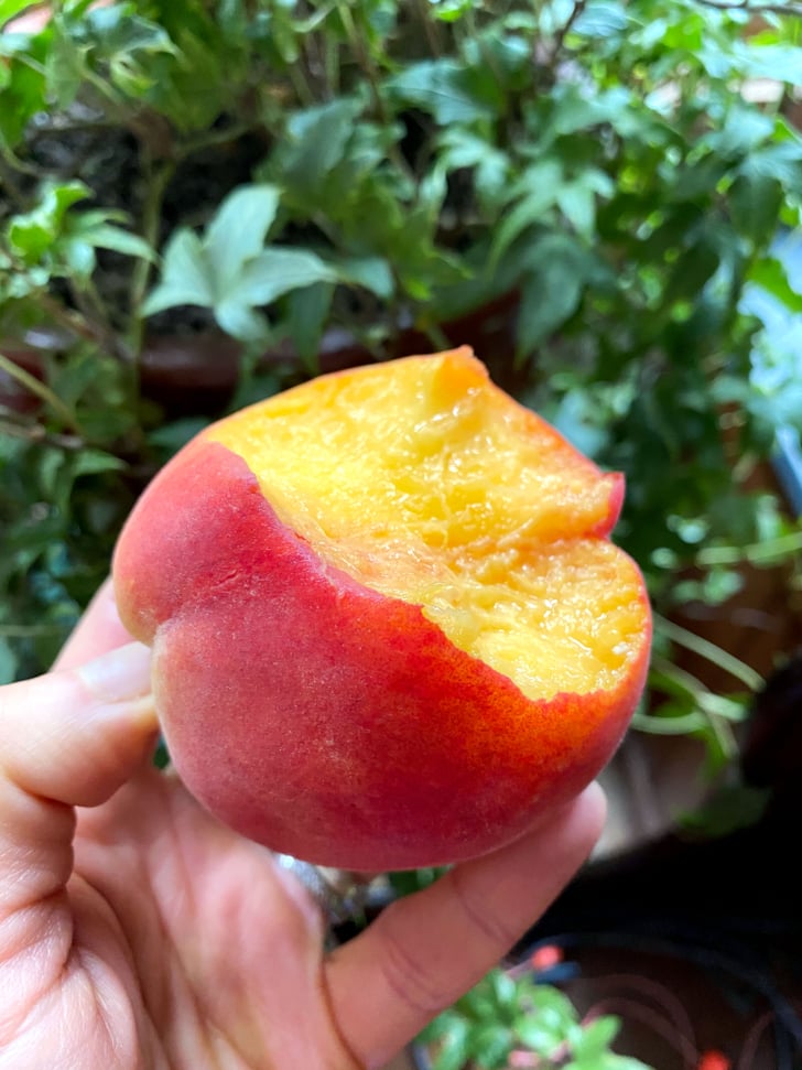 did-eating-4-pieces-of-fruit-make-me-gain-weight-what-happens-when