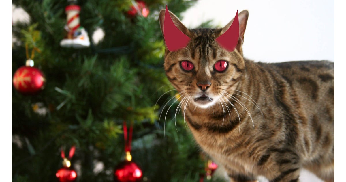 Cats Attack Christmas Trees POPSUGAR Pets