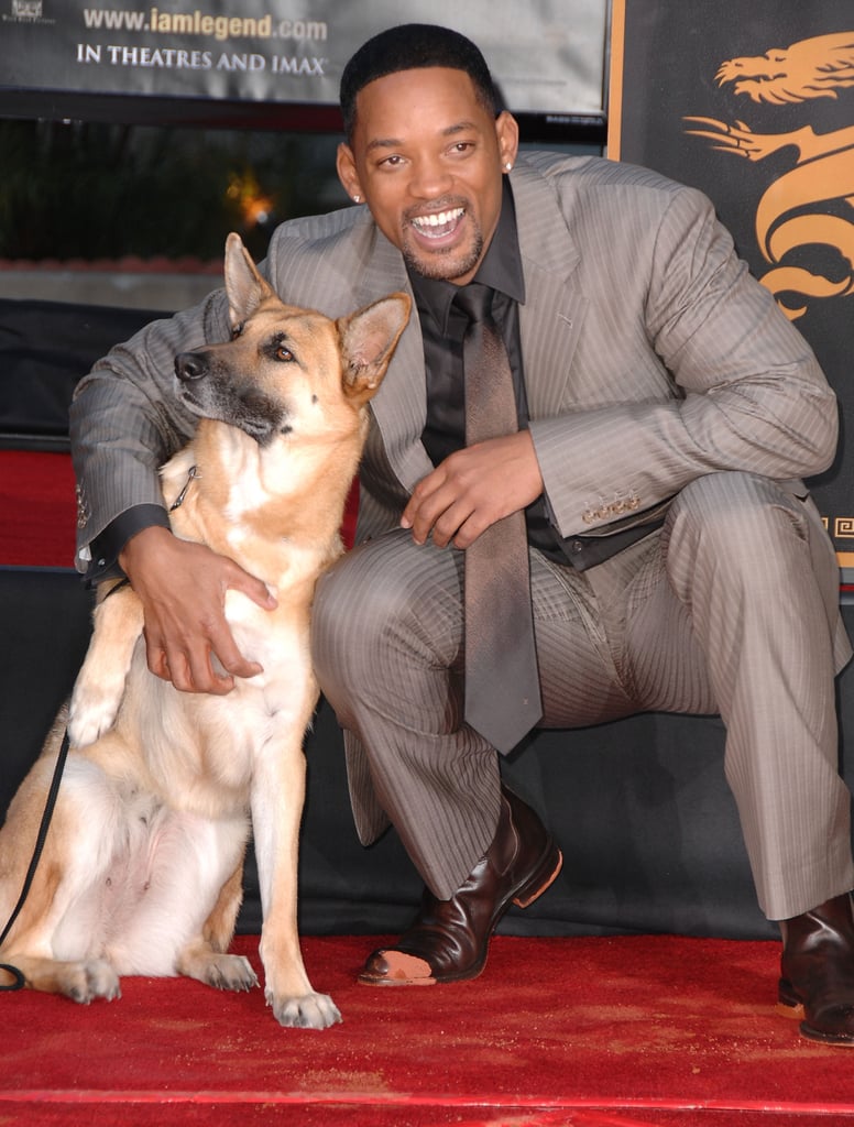 Will Smith smiled big with a canine friend in LA in December 2007.