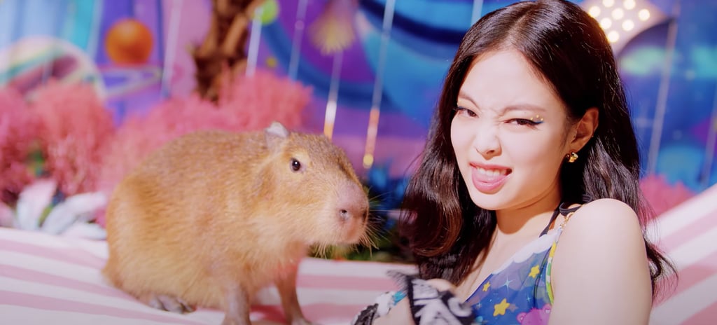 What's the Animal in Blackpink's "Ice Cream" Video? Capybara