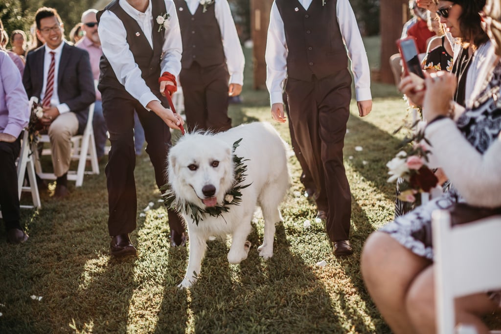 Backyard Harry Potter Wedding
