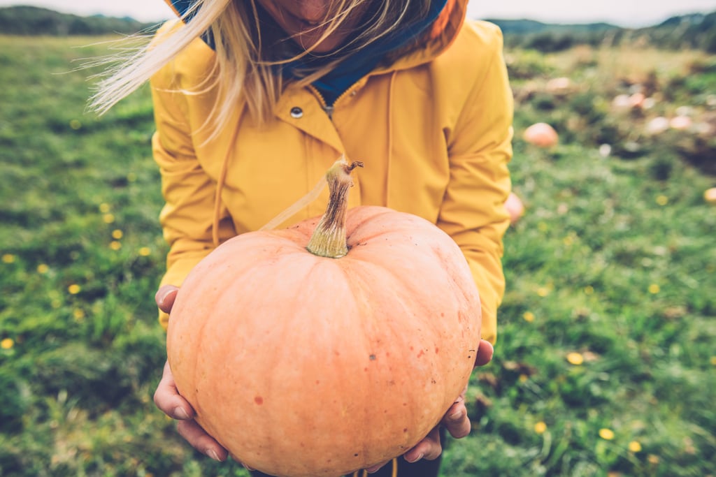 7 Fall Foods That Can Help Strengthen Your Immune System
