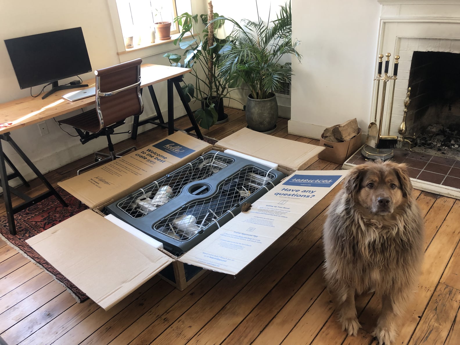 The Diggs Revol Dog Crate Review POPSUGAR Pets