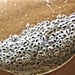 Is Chia-Seed Water Healthy or Not? An RD Weighs In