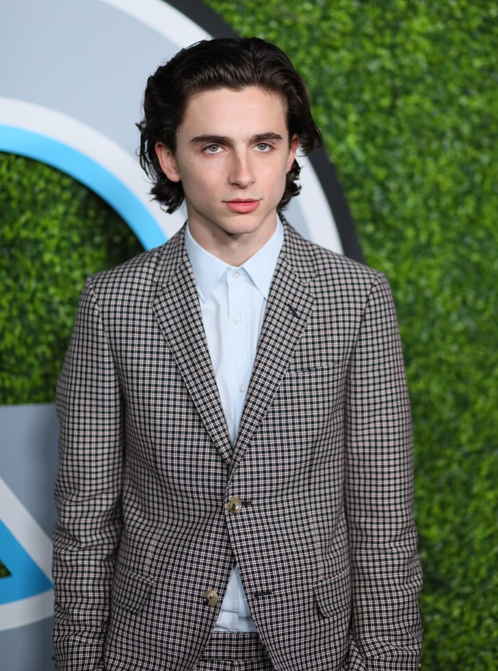 timothee chalamet pop funko