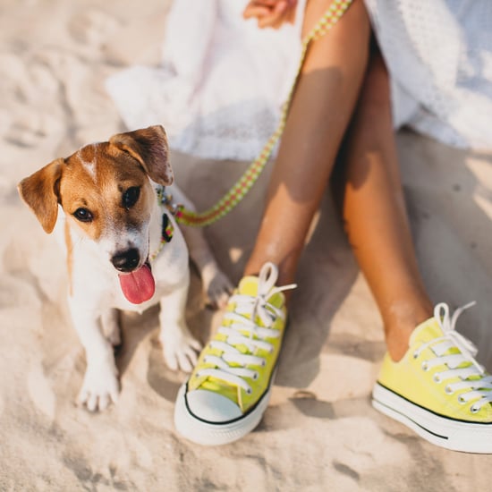 Bicoastal Dog Trends