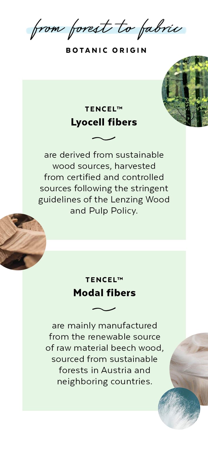 Lyocell, Tencel, Modal: Meet These Sustainable Game Changers