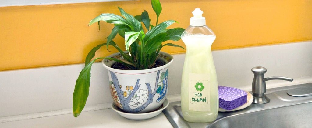 Borax-Free Liquid Dish Soap