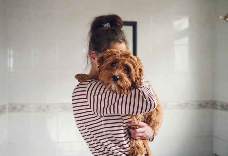 Dry Your Dog's Fur After a Bath