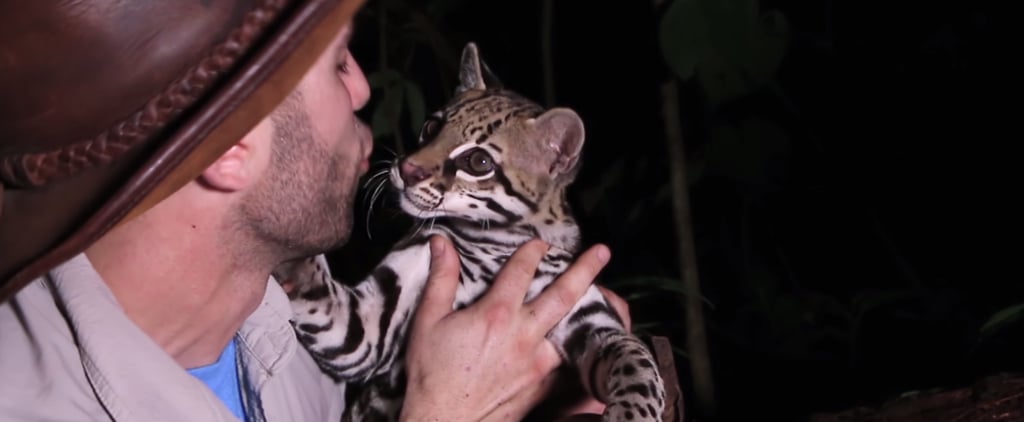 Coyote Peterson Plays With Wild Ocelot | Video
