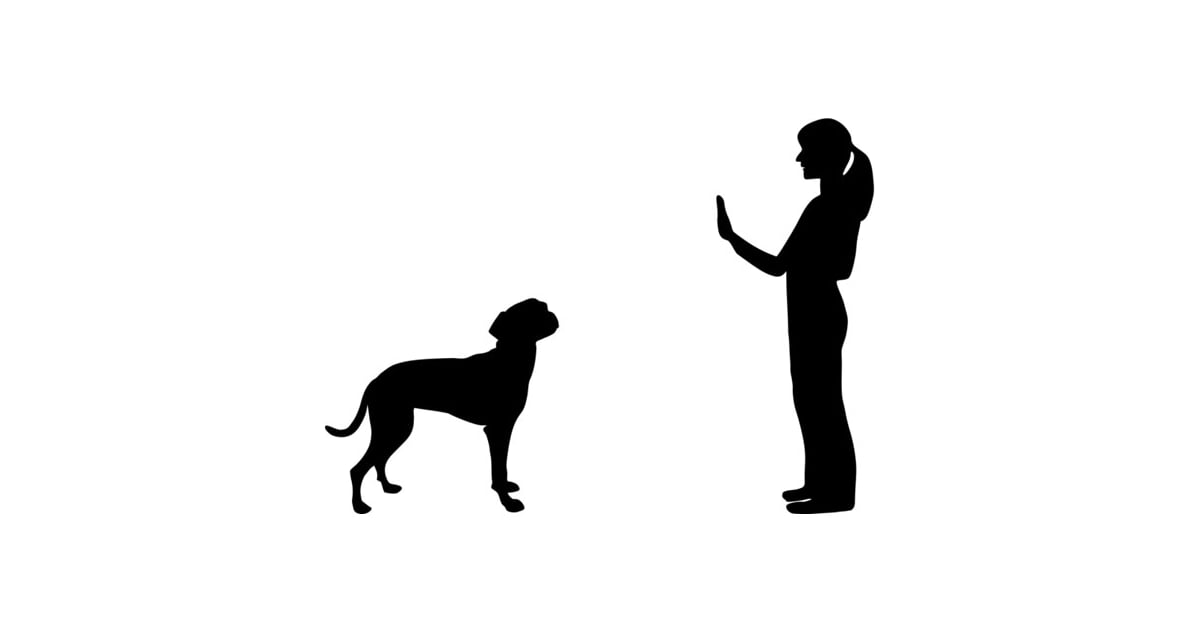 format vim auto Dogs 5 Hand  For Signals Stay Essential  Photo POPSUGAR Pets