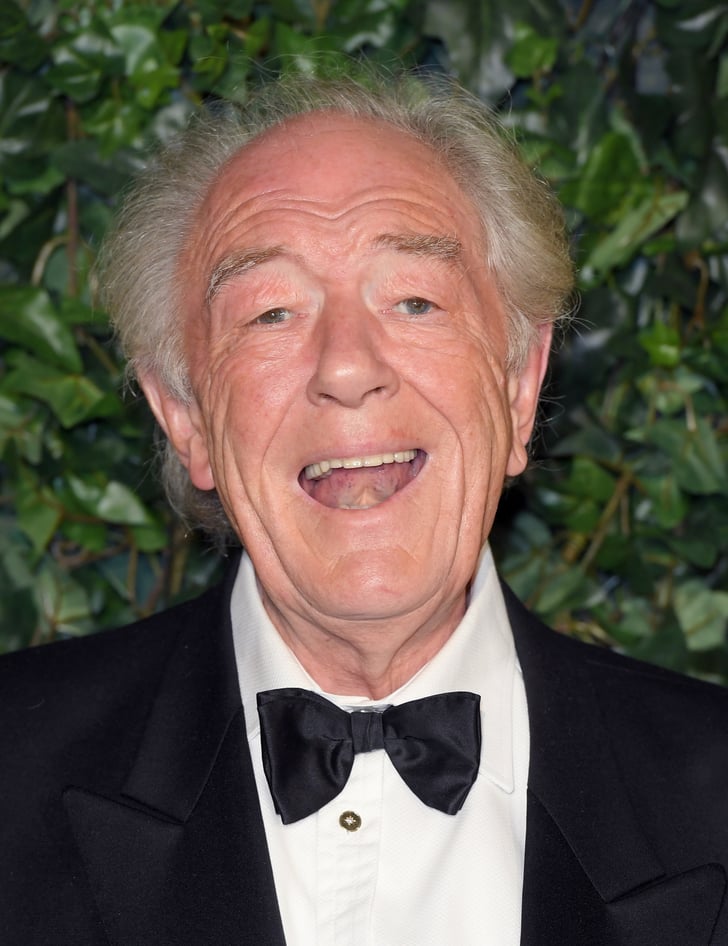 Michael Gambon | Actors Who Have Been in Little Women | POPSUGAR