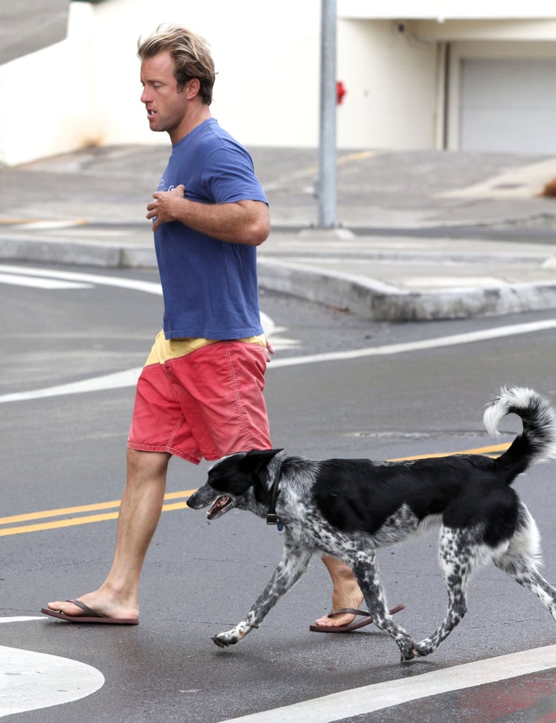 Scott Caan's spotty pup, Dot, joined him on set in Hawaii in April 2011.