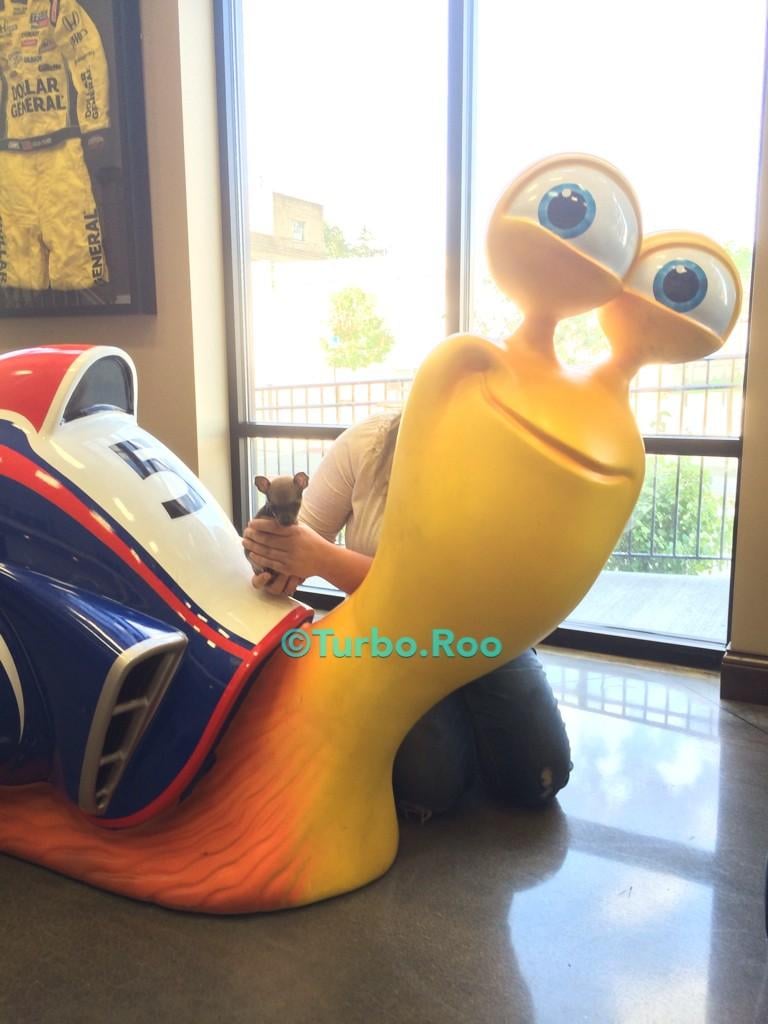 Since you were wondering, yes, the puppy is named after the fast-moving animated snail. 
Source: Twitter user Turbo.Roo