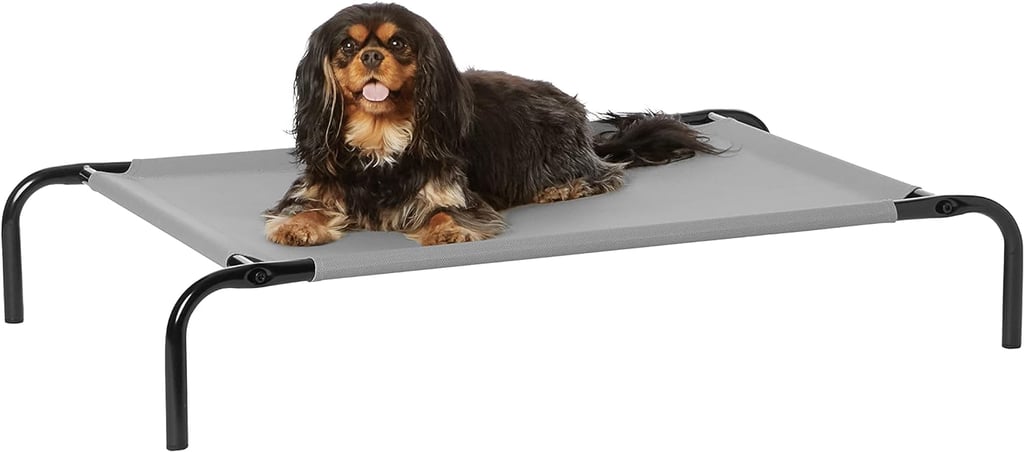 Amazon Basics Cooling Elevated Dog Bed with Metal Frame