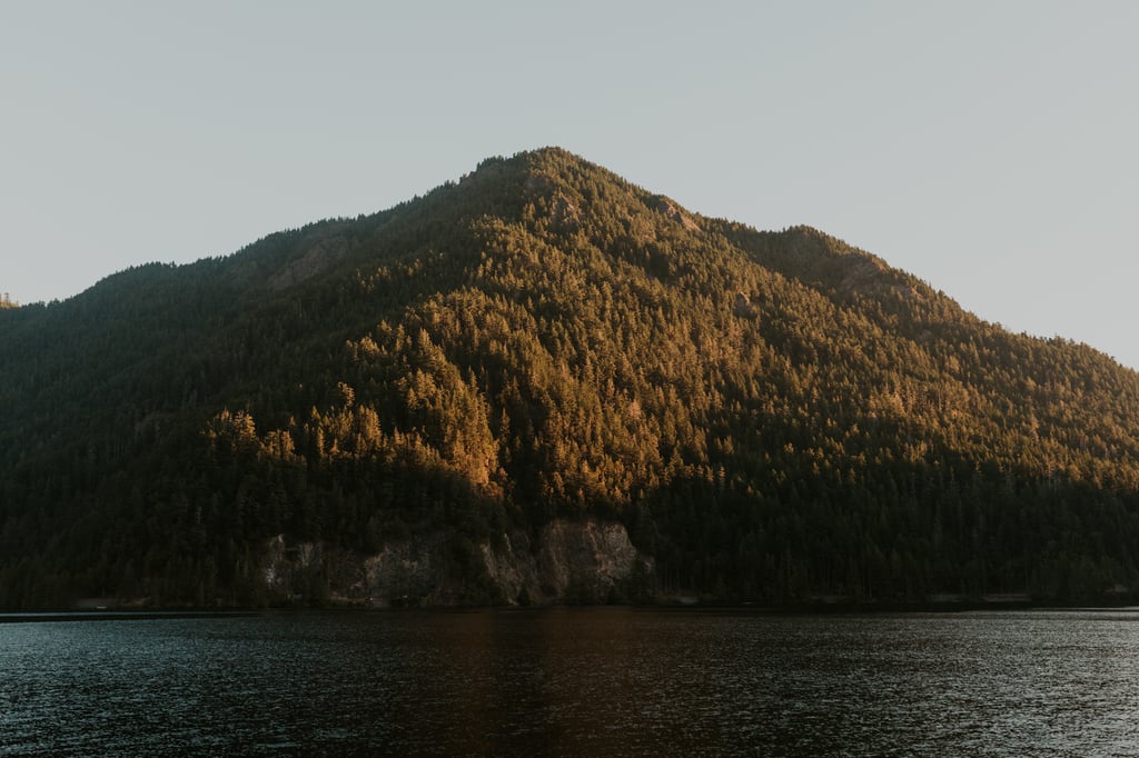Olympic National Park Elopement Pictures