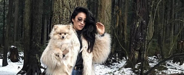 Shay Mitchell Wearing Majorelle Faux Fur Coat