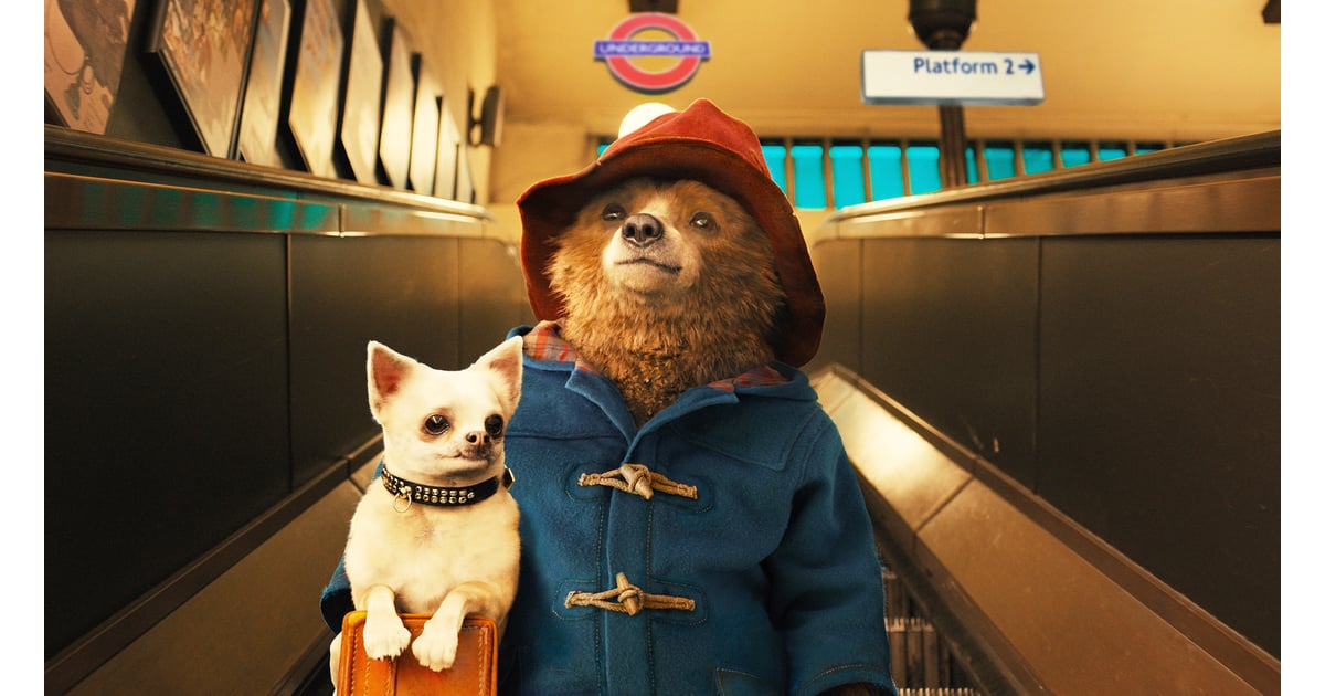 Paddington (2014) 2010s Movies on Netflix POPSUGAR Entertainment