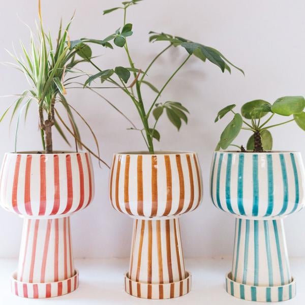 Jungalow Kaya 3-Piece Ceramic Planter by Justina Blakeney