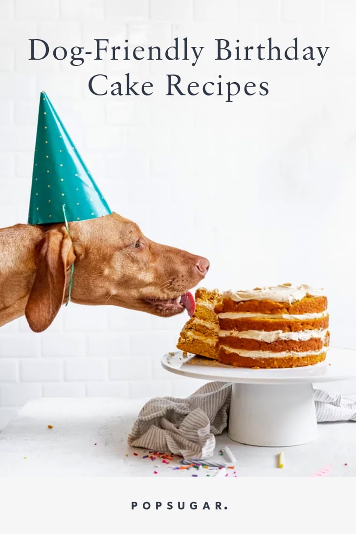 Birthday Cake Recipes and Ideas For Dogs