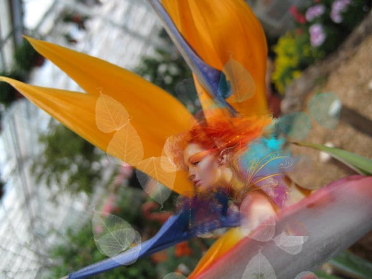 Letting Go of the Flower as promised to Monique not only one yet several Redheads ;) Photo 31