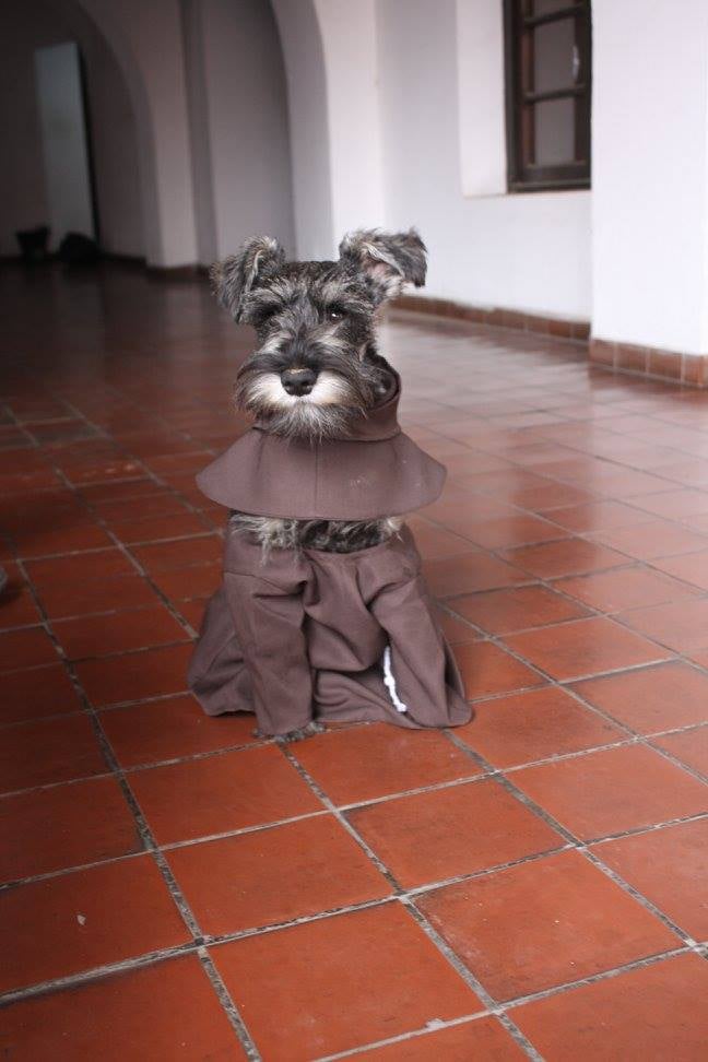 Dog Adopted by Monastery in Bolivia
