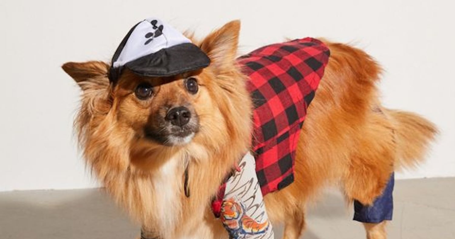 Urban Outfitters Has a Hipster Dog Costume For Halloween