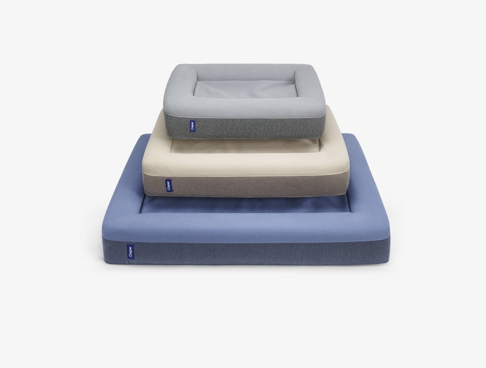 Casper Dog Bed ($125)